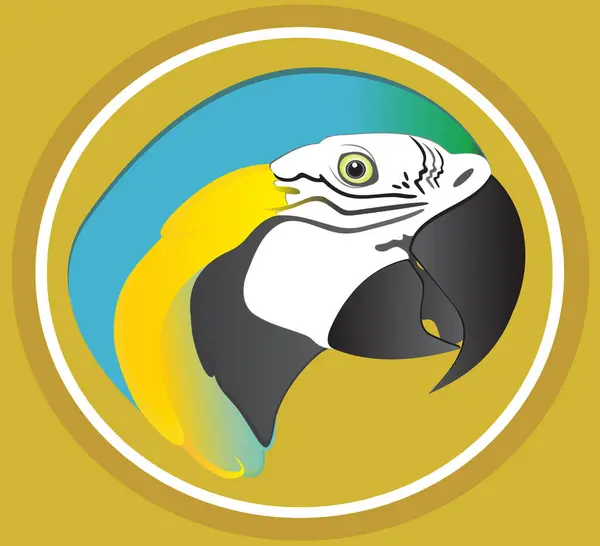 Mavi ve Sarı Macaw.