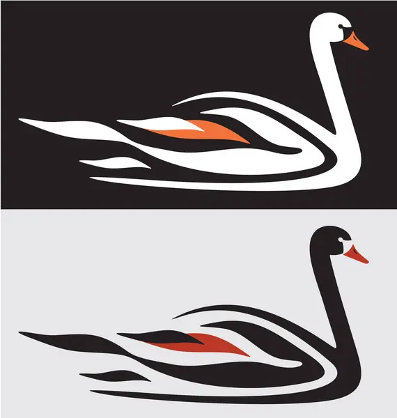 Siyah ve Beyaz Kuğunun Silüeti