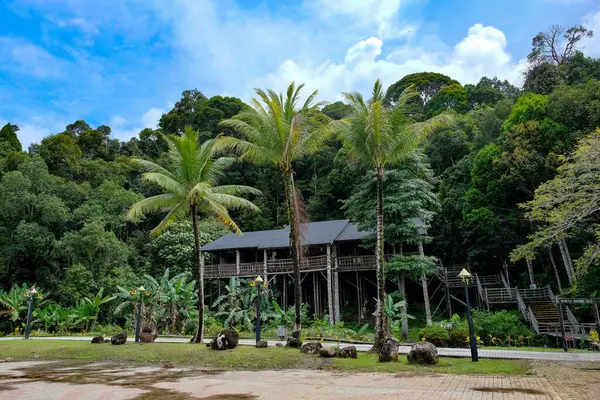 Palmiye ağaçları, Sarawak Kültür Köyü