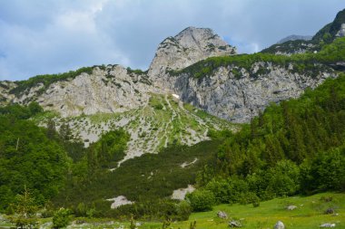 Doğa Parkı Piva, Karadağ