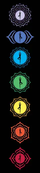 Yoga çakrası, kök çakra, Sacral çakra, Güneş Pleksi, Kalp Çakrası, Gırtlak Çakra, Üçüncü Göz Çakrası, Crown Çakra
