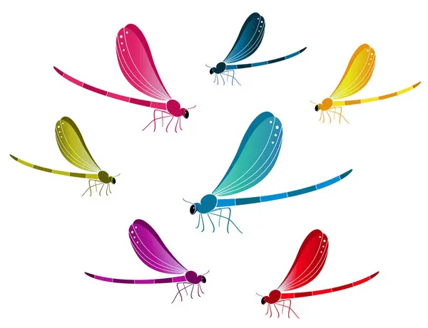 Beyaz arka planda renkli yusufçuklar.