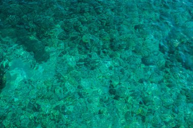 Deniz, yeşil ve mavinin güzel bir birleşimidir..