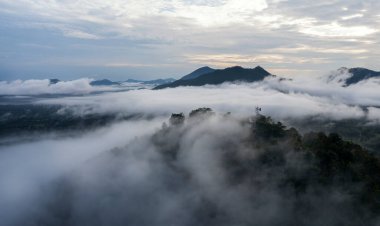 Sis Denizi 'nin üzerinde uçan hava aracı, dağlardaki bulut dalgaları gibi süzülen bulut denizi, gökyüzü ve bulutlar. Loei Eyaleti 'ndeki Phu Tok' taki sisle dolu dağa bakın. Tayland