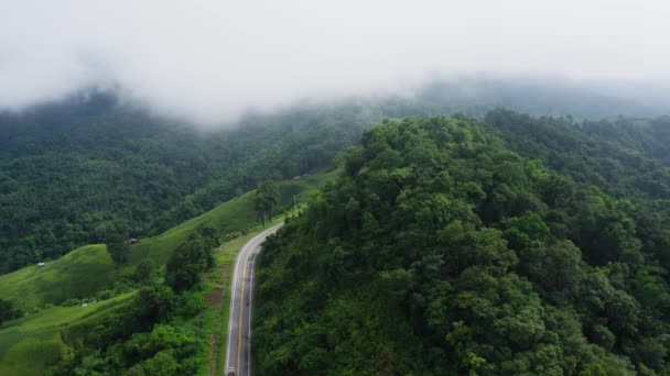 Vista Aérea Drone Volar Sobre Carretera Sinuosa Temporada Lluvias Montaña — Vídeos de Stock