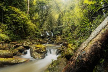 Sapan Şelalesi (Namtok Sapan), NAN 'ın en güzel şelalesidir. Tayland