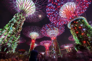 ŞARKI, ŞARKI - 25 Ağustos 2023 Singapur 'daki Supertree Grove' un Gece Görüşü, Singapur Körfezi 'nin yanındaki Bahçe.