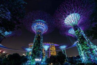 ŞARKI, ŞARKI - 25 Ağustos 2023 Singapur 'daki Supertree Grove' un Gece Görüşü, Singapur Körfezi 'nin yanındaki Bahçe.