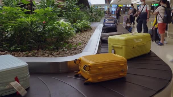 Obszar Odbioru Bagażu Międzynarodowego Lotniska Changi Międzynarodowe Lotnisko Changi Singapurze — Wideo stockowe