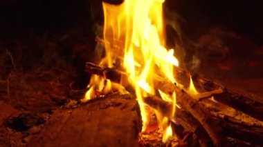 Alacakaranlıkta şenlik ateşi. Vahşi yaşam macera konsepti. Tatil konsepti. Kamera b rulo 4k Yavaş Hareket.