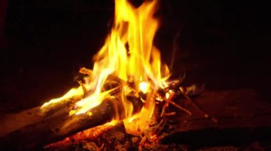 Alacakaranlıkta şenlik ateşi. Vahşi yaşam macera konsepti. Tatil konsepti. Kamera b rulo 4k Yavaş Hareket.
