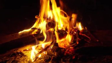 Alacakaranlıkta şenlik ateşi. Vahşi yaşam macera konsepti. Tatil konsepti. Kamera b rulo 4k Yavaş Hareket.