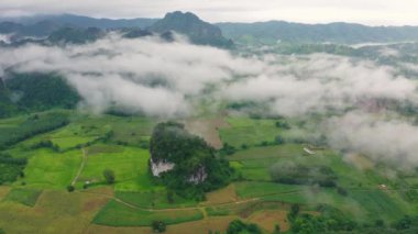 Beyaz bulutların üzerinde uçan hava aracı yoğun sis bulutu hızla hareket ediyor. İHA yağmurlu gökyüzünde kabarık bulutların arasından geri uçuyor. Güzel sisli ve bulutlu yavaş hareket eden hava manzarası. Sis denizi. Phu Lang Ka