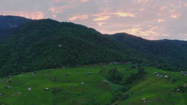 Tayland, Chiang Mai 'de, Ban pa bong piang' da bulunan harika bir teraslı pirinç manzarası. Yüksek dağ pirinç tarımı aynı zamanda turistler için de ünlü bir turizm merkezidir. 4k görüntüsü..