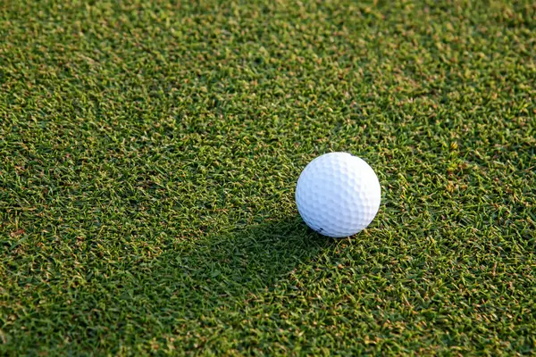 Golf sahasında yeşil bir çimenlikte golf topu. Dünyanın dört bir yanındaki insanların sağlık için yaptıkları sporlar..