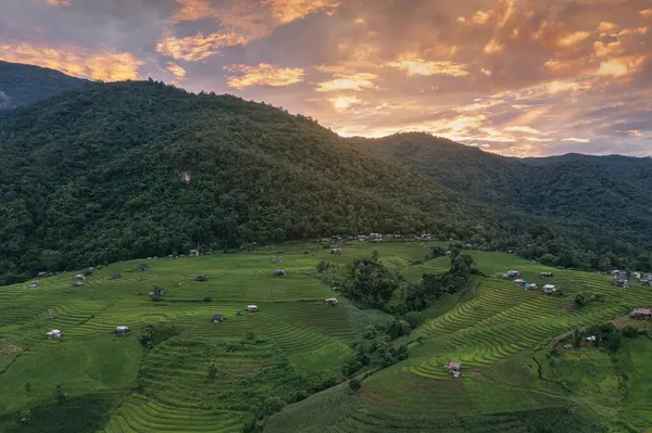 Aerial Views Small House Rice Terraces Field Pabongpaing Village Rice — Stock Photo, Image