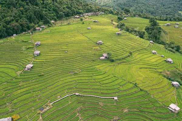 泰国Mae Jam Chiang Mai Pabongpaing村稻田小房子和稻田的空中景观 旅行的观点 稻田台 — 图库照片#