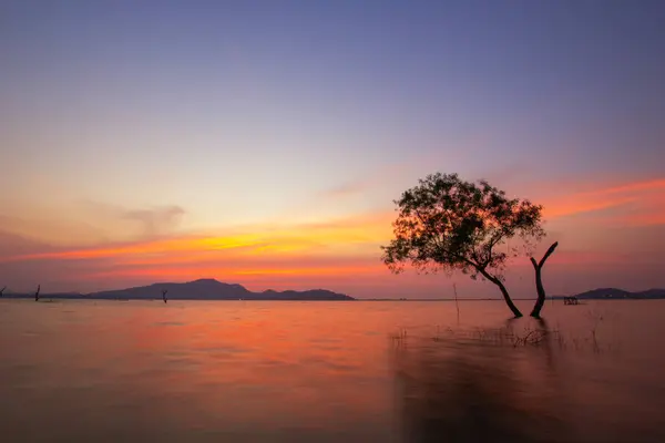 Одинокое Дерево Закате Сумерек Середине Озера Деревья Смерти Озере Таиланд — стоковое фото