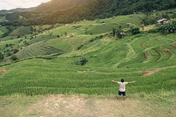 Pa Pong Piang Pirinç Terasları. Pa-pong-piang, Mae Chaem, Chiang Mai, Kuzey Tayland 'da pirinç teraslı bir turist..