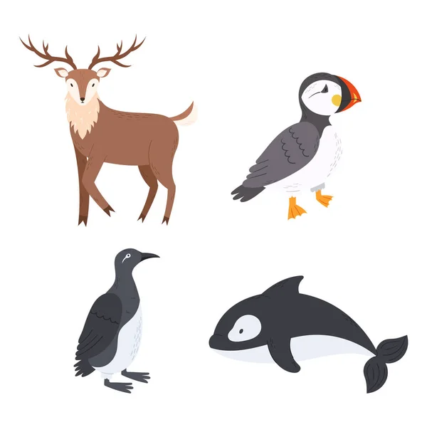 Conjunto Animales Árticos Reno Frailecillo Atlántico Loro Marino Aves Pingüino — Vector de stock