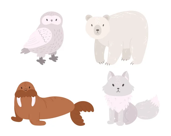 Set Arctic Animals Owl Polar Bear Walrus Arctic Fox Isolated — стоковий вектор