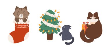 Şirin Noel Kedileri, Komik Kedi Karakterleri Çorapta Oturur, Xmas Ağacı Çelengi ile Oynar, Hediye Kutusu Tutar, Sevimli Yaramaz Kedicik Oynar ve Festive Eve 'de Eğlenir. Çizgi film Vektör İllüstrasyonu