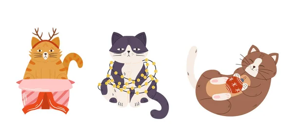 Şirin Noel Kedileri Komik Kedi Karakterleri Hediye Kutusunda Oturur Garland — Stok Vektör