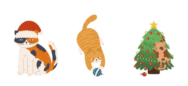 Набор Милых Рождественских Кошек Забавные Персонажи Кошачьих Животных Сидят Подарочной — стоковый вектор