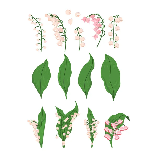Zet Lilly Van Valley Elements Groene Bladeren Blossoms Twigs Bunches — Stockvector