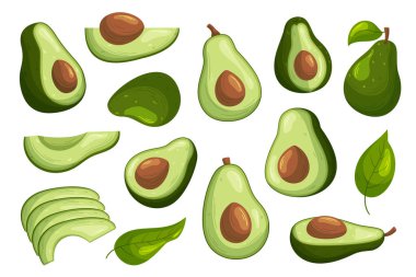 Set of Avocado Fruits and Leaves. Whole and Sliced Pieces of Tropical Plant Collection Isolated on White Background. Halves with Seeds and Cut Organic Fresh Fruits. Cartoon Vector Illustration