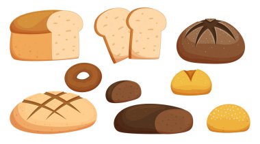 Set Of Bread And Different Bakery Production. Isolated Toast, Loaf, Bun with Sesame Or Rye Donut Pastry Collection. Fresh Bake House Flour Cereal Whole or Sliced Products. Cartoon Vector Illustration