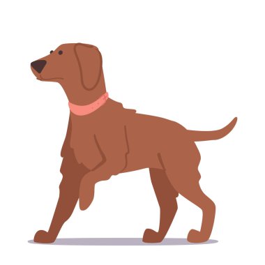 Cute Dog, Adorable Brown Furry Puppy with Innocent Expression And Playful Pose Isolated on White Background. Happy Pet wear Collar Ready to Play and Fun. Cartoon Vector Illustration