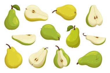 Set of Fresh And Tasty Pears. Sweet, Juicy And Crisp Ripe Pears of Yellow Or Green Colors. Whole and Sliced Fruits For Eating Fresh, Cooking And Baking, Source Of Vitamins. Cartoon Vector Illustration