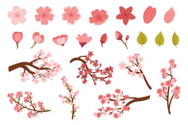 Set of Sakura Cherry Flower Bloom Isolated on White Background. Pink Blossoms, Green Leaves and Branches Graphic Design Elements, Icons, Collection of Clipart Decoration. Cartoon Vector Illustration