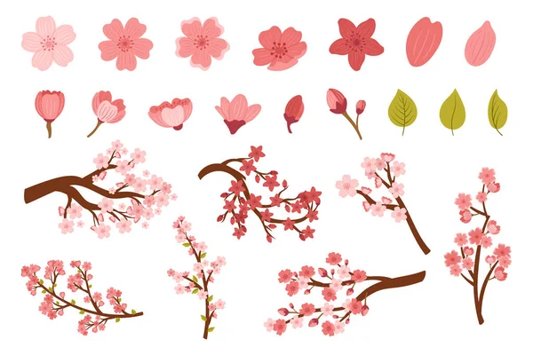 Set of Sakura Cherry Flower Bloom Isolated on White Background. Pink Blossoms, Green Leaves and Branches Graphic Design Elements, Icons, Collection of Clipart Decoration. Cartoon Vector Illustration
