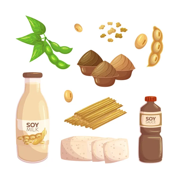Sada Sójových Výrobků Obsahující Tofu Sójové Mléko Sójovou Omáčku Tempeh — Stockový vektor