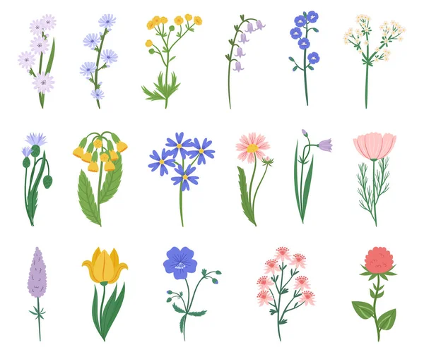 Set Van Wilde Bloemen Kenmerken Een Prachtige Reeks Kleuren Waaronder — Stockvector