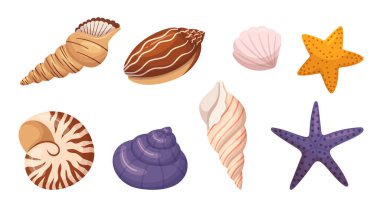Deniz kabukları ve yıldız balıkları seti, plaj temalı dekorasyon için mükemmel, deniz yaşamının doğal güzelliği, karmaşık desenler ve sahil manzaralı benzersiz dokular. Çizgi film Vektör İllüstrasyonu