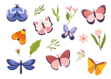 Renkli Kelebekler, Güveler ve Yusufçuklar. Karmaşık desenleri ve parlak renkli kanatları olan, Doğanın El Sanatları ve Dekorasyon İçin Güzelliğini ve Kırılganlığını temsil eden. Çizgi film Vektör İllüstrasyonu