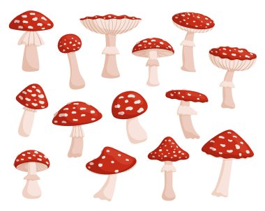 Fly Agaric, Vibrant, Red and White Forest mantarları. Farklı Görünümleri ve Halüsinojenik Özellikleri ile tanınıyor. Peri masalı görüntüleri ve folklorla ilişkili. Çizgi film Vektör İllüstrasyonu