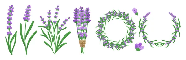 Lavendel Elementen Set Met Lavendel Bloemen Bladeren Stengels Ronde Frame — Stockvector