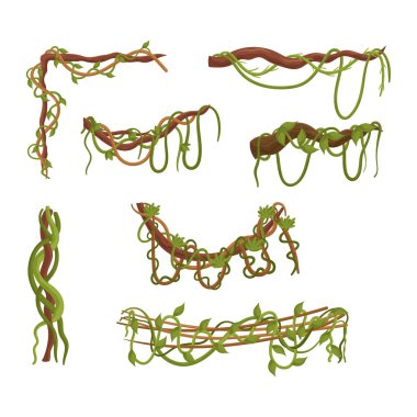 Liana Kümesi, Doğa Sarmaşıkları, Yoğun ormanlarda iç içe geçen ve tırmanan, çeşitli bitki ve hayvan türleri için destek ve yaşam alanı sağlayan. Çizgi film Vektör İllüstrasyonu