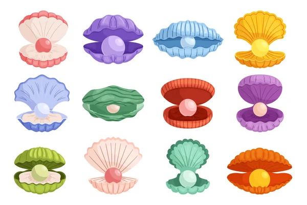 Zestaw Naturalnych Seashells Obudowy Lustrous Perły Rzadkie Piękne Skarb Oceanu — Wektor stockowy