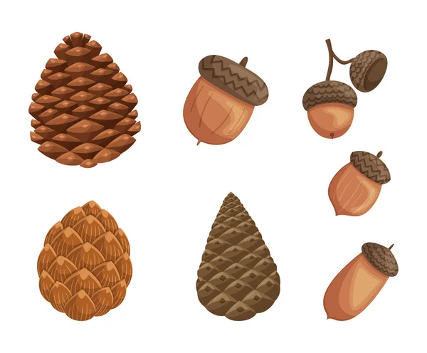 Acorns Pine Cones Přírodou Inspirovaná Sada Nádherná Kolekce Showcasing Krása — Stockový vektor