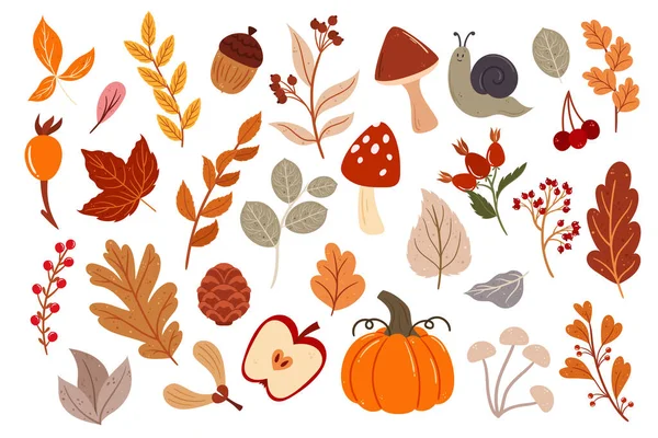 采购产品秋天花设置特色的振动和温暖色调的叶子 蘑菇和分枝 南瓜或苹果元素 完美的添加季节性美丽的触摸 卡通矢量图解 — 图库矢量图片