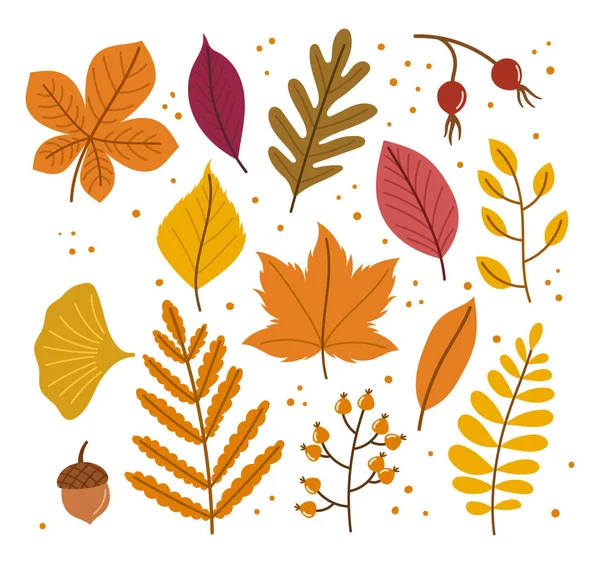秋天的叶子带着温暖的色调捕捉大自然的过渡 橙色和黄色叶子的交响曲 玫瑰白羊座和橡果创造了一种温馨 怀旧的激情 卡通矢量图解 — 图库矢量图片