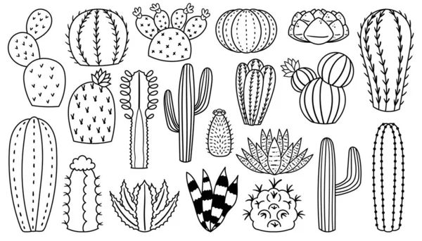Lineaire Cacti Pictogrammen Geïsoleerde Monochrome Minimalistische Representaties Van Cactus Planten — Stockvector