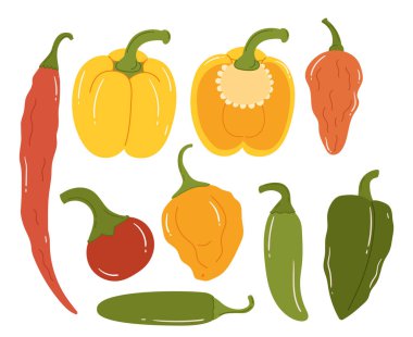 Renkleri kırmızı, sarı ve yeşil olan canlı biberler canlı bir baharat mozaiği oluşturur. Canlı Renkleri ve Şekilleri Mutfakta Lezzetli Bir Palet Vaat Ediyor. Çizgi film Vektör İllüstrasyonu