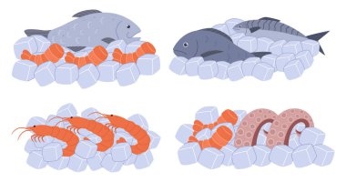Işıldayan Buzun İçinde Taze Deniz Ürünleri, Buz Kucaklayan Okyanus Balıkları, Karidesler ve Ahtapot. The Chill Promises Succulence, bir lezzet senfonisi davet ediyor. Çizgi film Vektör İllüstrasyonu