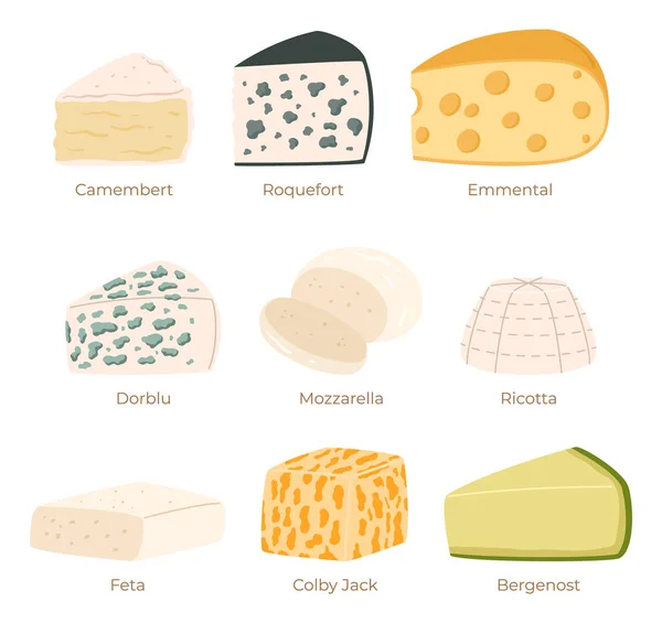 Kolekcja Serów Camembert Roquefort Emmental Dorblu Mozzarella Ricotta Feta Colby — Wektor stockowy